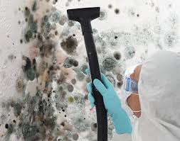 Best Water Damage & Mold Remediation  in Wesley Hills, NY